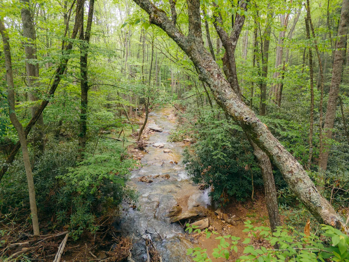 A tranquil view of a flowing creek bordered by lush greenery and large tree branches. The natural setting is inviting for strolls, picnics, or moments of quiet reflection. The scene captures the essence of creekside exploration and the calming presence of water in a private, wooded landscape.